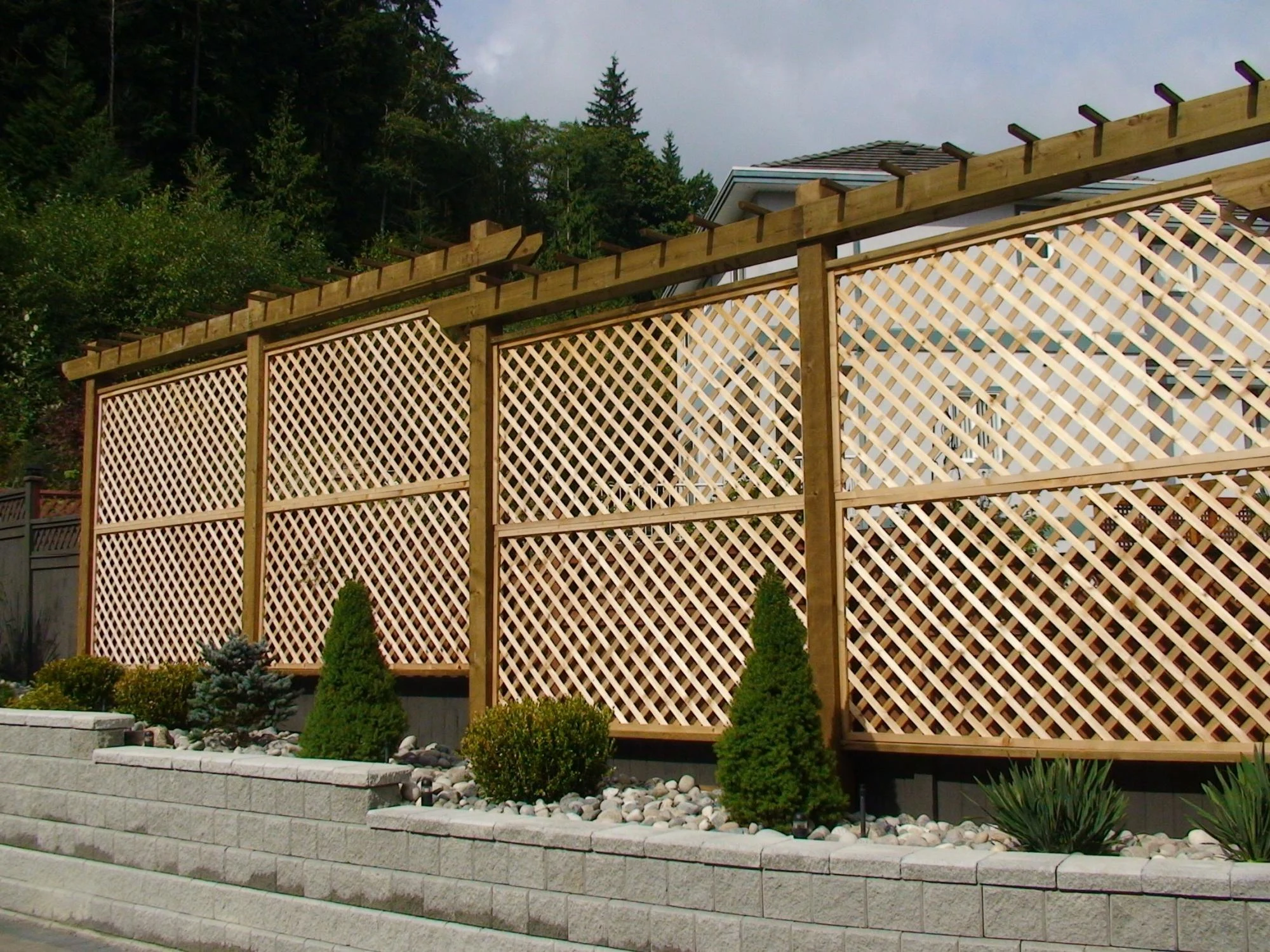 Wooden trellis privacy screen panels on top of grey block retaining wall with small evergreen shrubs