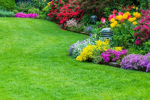 Professional garden bed design and softscaping in Maple Ridge