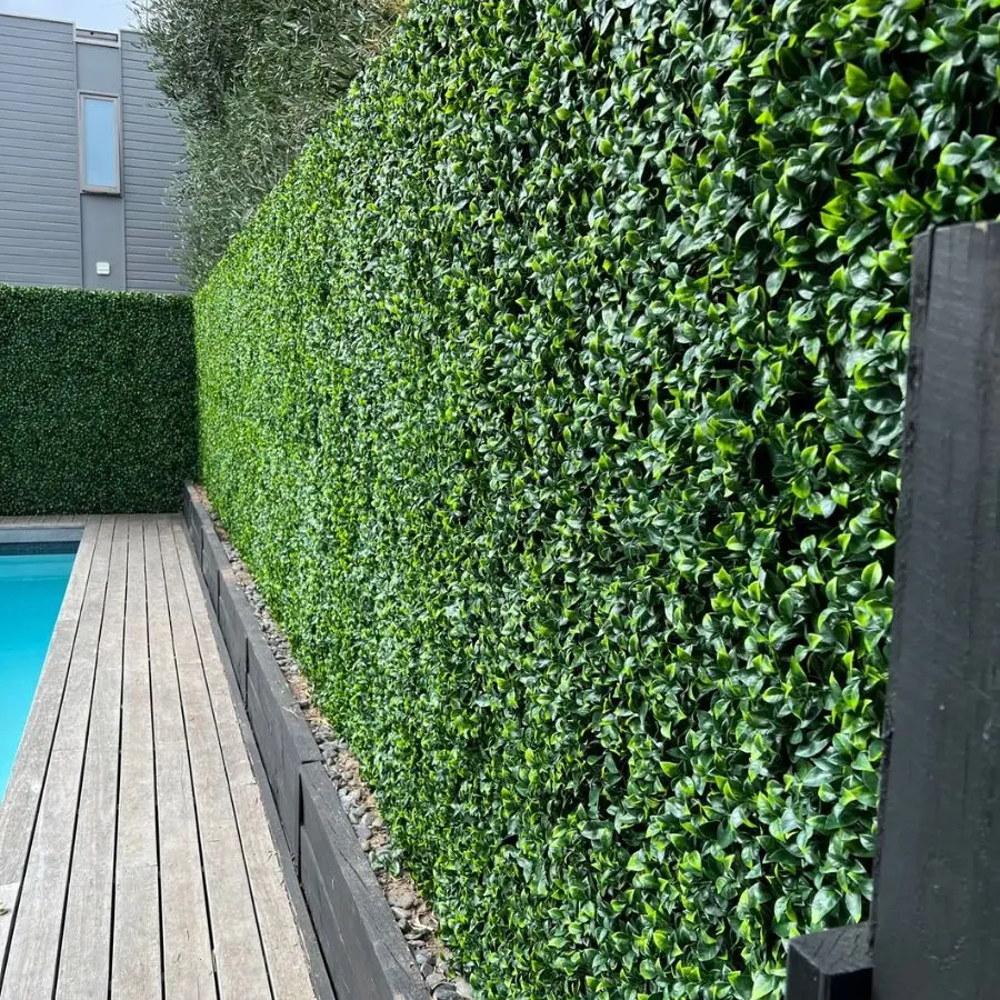 Vegetated Wall