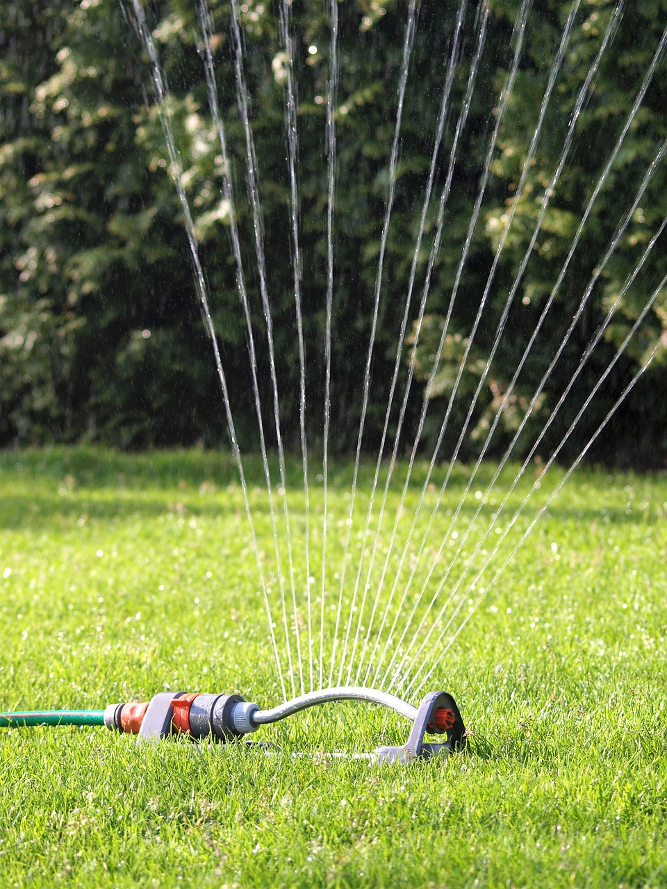 Sprinkler System Repair Services