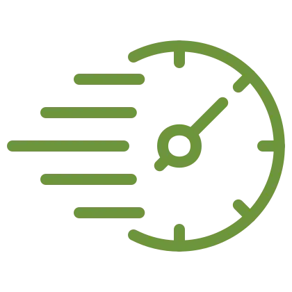 Speed icon